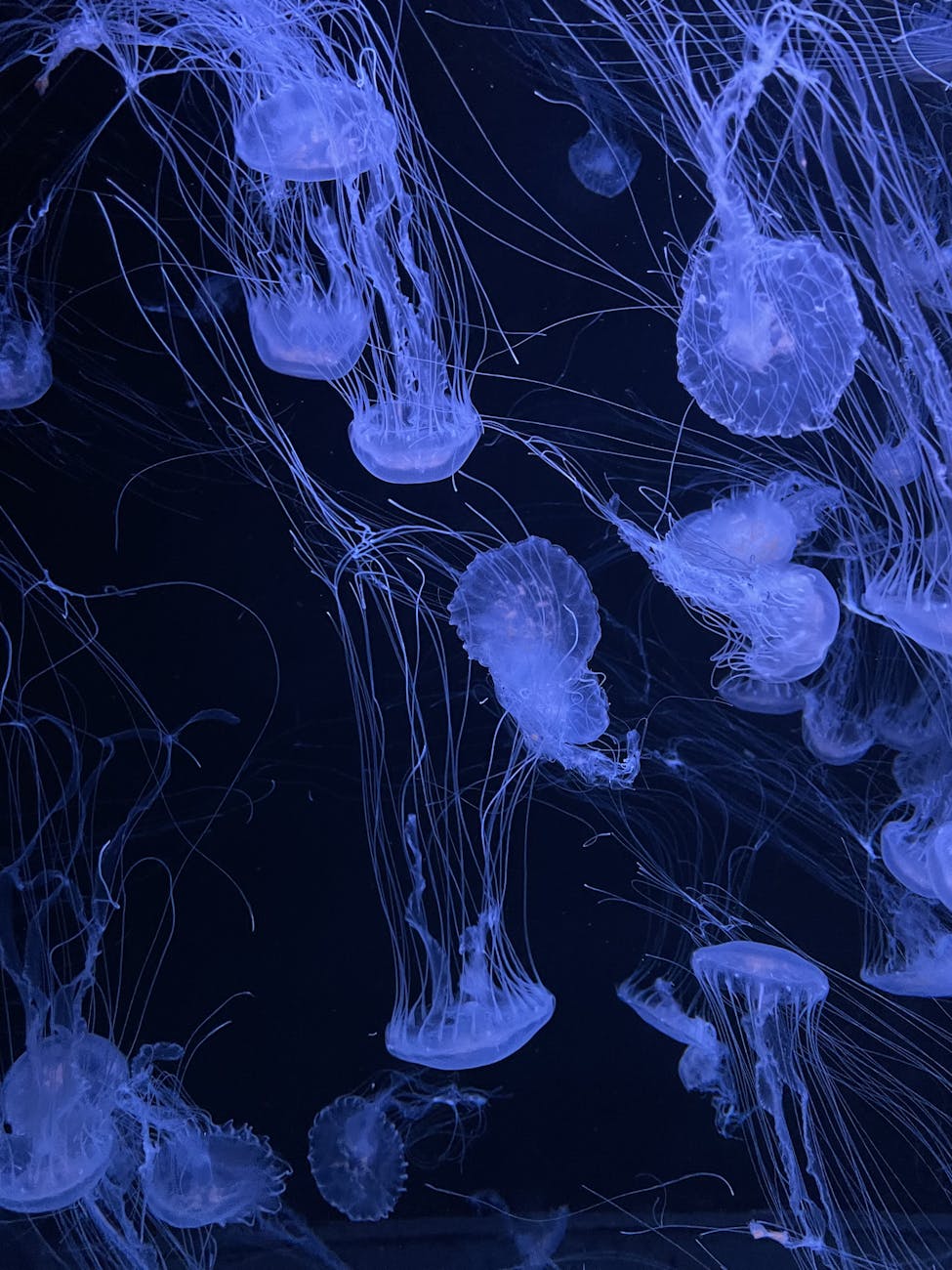 Your Nervous System Is Listening—Even When You Are Not